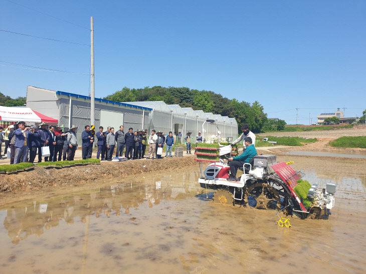 사본 - (사진3)드문모심기 시연회 사진