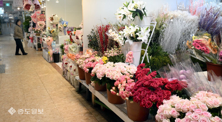 20260112-한산한 꽃 도매시장1
