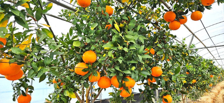 _1768227876713_277121109373139