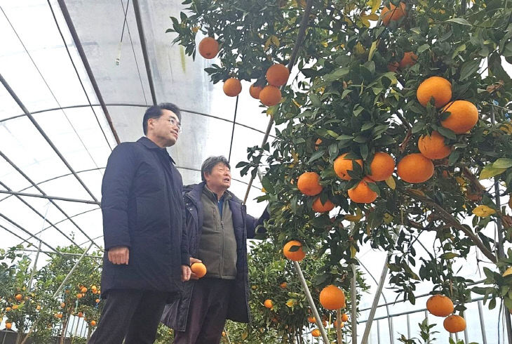 B_IMG_1768227859248_277146338910265