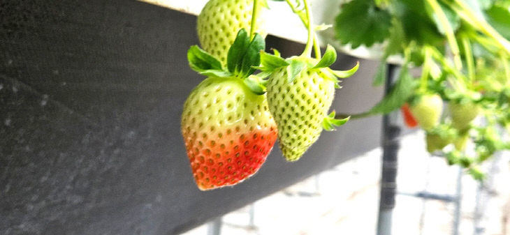 Resized_FB_IMG_1768227872670_277134377482457