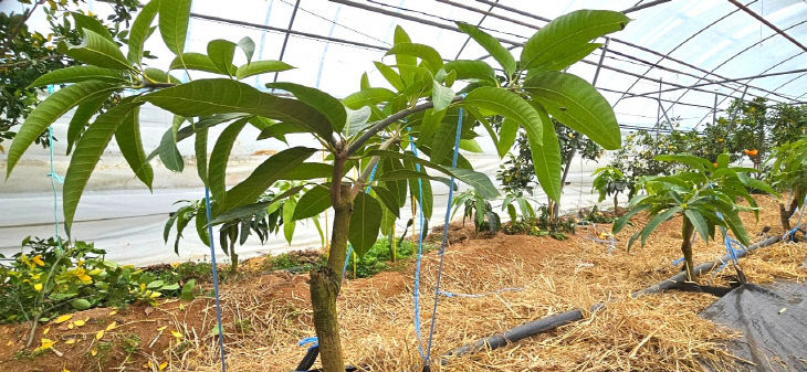 Resized_FB_IMG_1768227895056_277160334468020