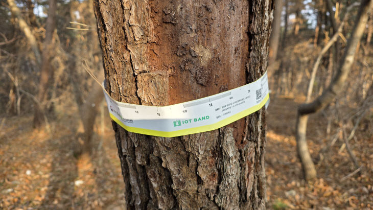 KakaoTalk_20260112_202958229_02