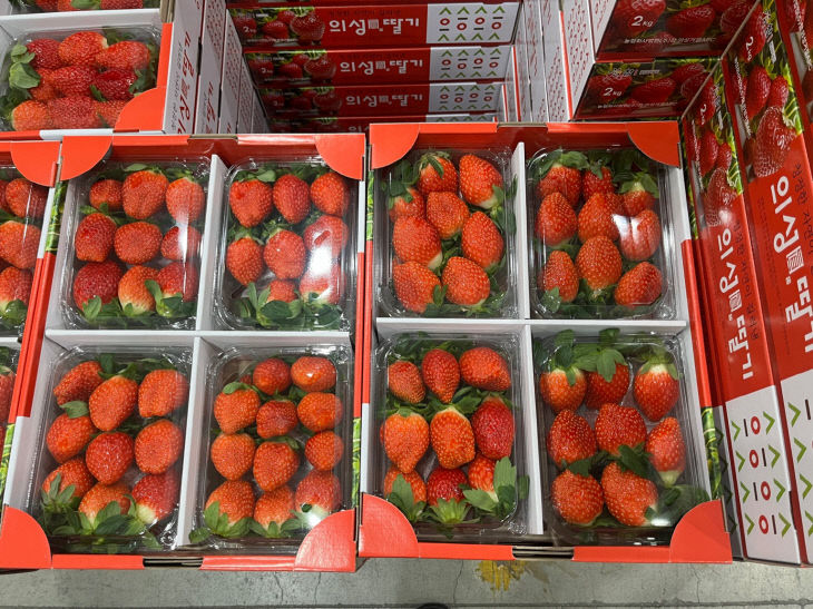 03의성군제공 의성진 딸기2