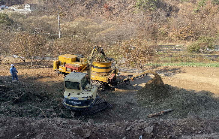 청양 소나무재선충병 확산 방지