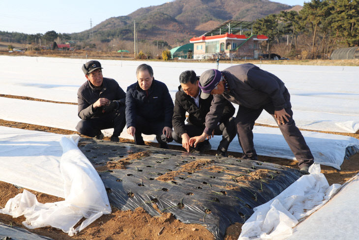 충남세종농협한파피해예방현장점검사진1