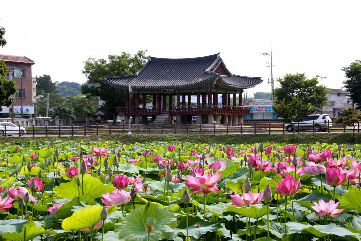 문화유산 41필지 지목 현실화 완료(피향정)