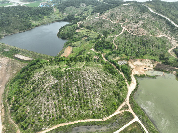 신안군 섬숲 전경