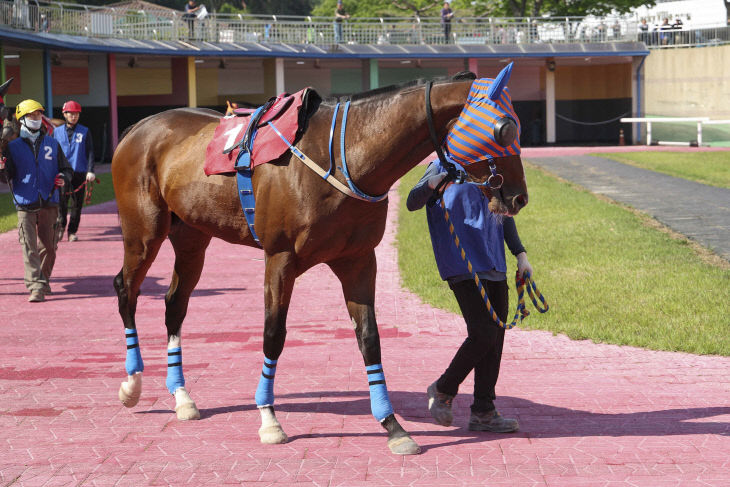 한국마사회, 아이엠짱