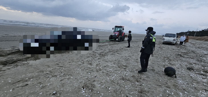 부안해경, 갯벌구조대 활약2