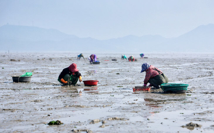 3. 수산사업 추진 (2)