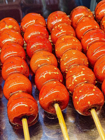 [4-7-2]사박 기자 사진