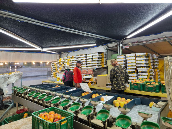 충북도, 외국인 계절근로자 도입 확대 2