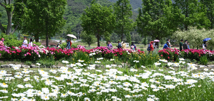 창포원 관광객(2025)2