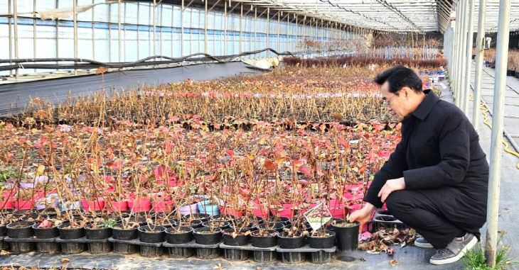 1768691005001.1991081834_487978666165984