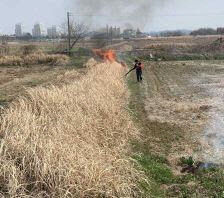 4.논·밭두렁 소각 모습