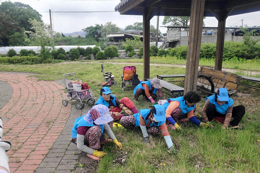 지원사업 본격 시행!