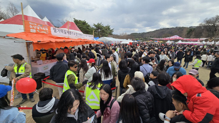 지난 딸기축제 행사 장면 (2)