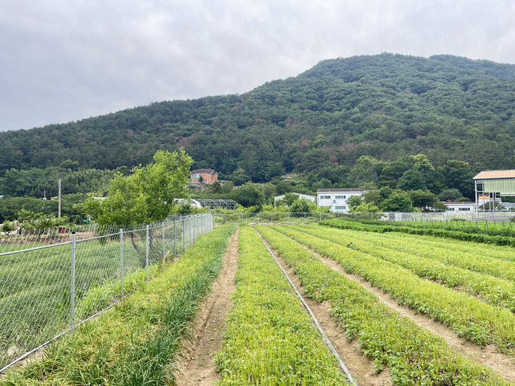 야생동물 피해예방시설 설치 사진