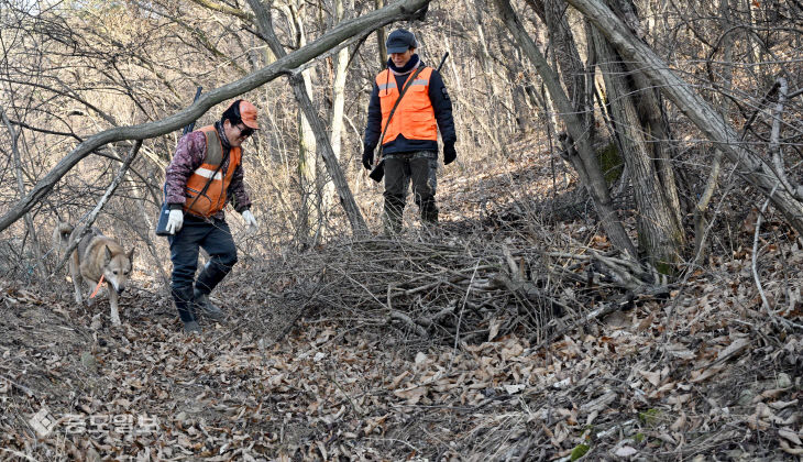 20260120-유해야생동물 피해방지단 활동1