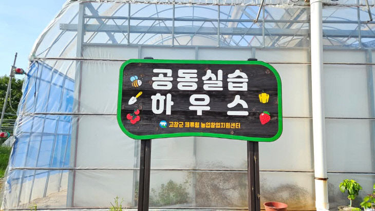 1768862719019.-1689782476_560443922250945