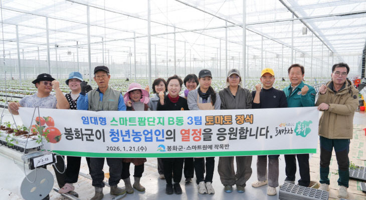 1. 스마트팜 단지 B동 3팀 토마토 정식 완료