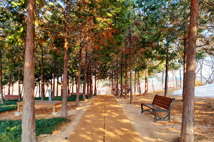 시민공원 내 맨발걷기길 (2)