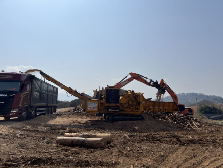 (자료사진) 소나무재선충병 감염목 제거작업