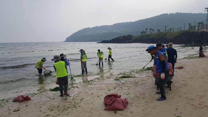 1769140381999_406b69aa15164cab8054d01ed8d41108