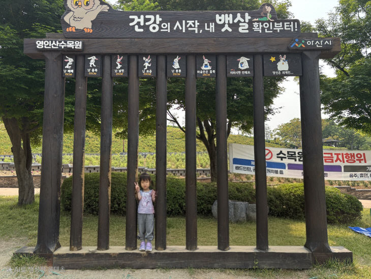 사진-시에위잉