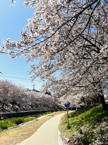 오노이쿠요 사진 2