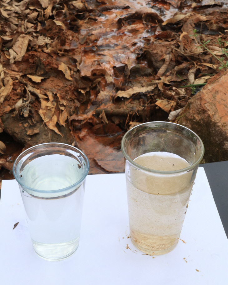 2025041401001143900045851 (1)