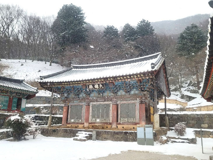 1769196499906_740581365256707 (1)