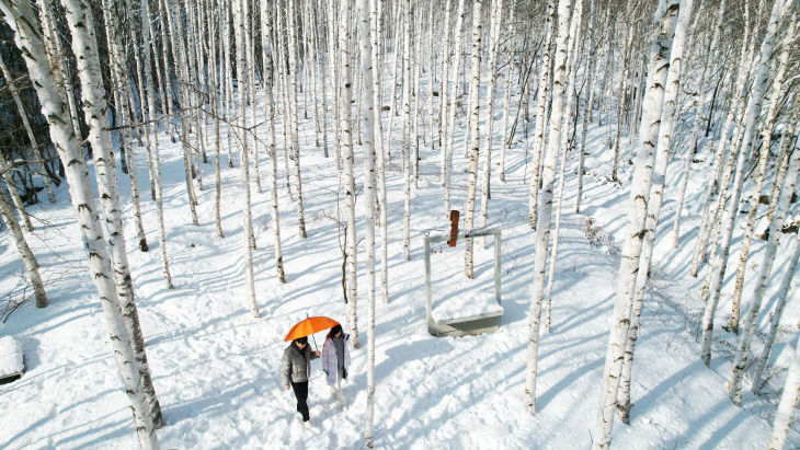 나무숲, 영양의 기적이 되다)