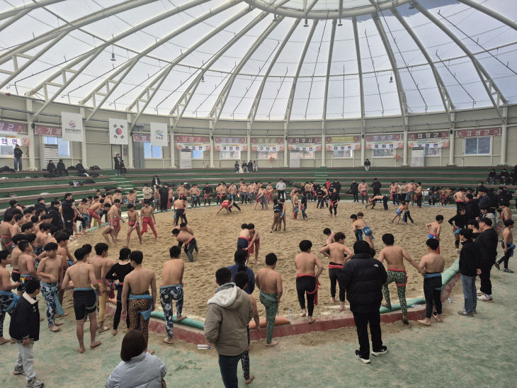 전국 선수단 동계훈련 열기 씨름