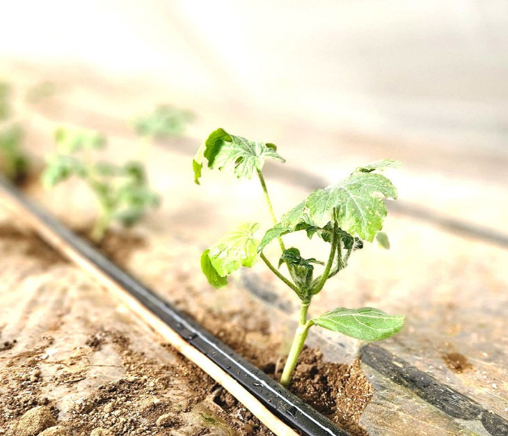 769377930803_7421308932682015608_3274273452