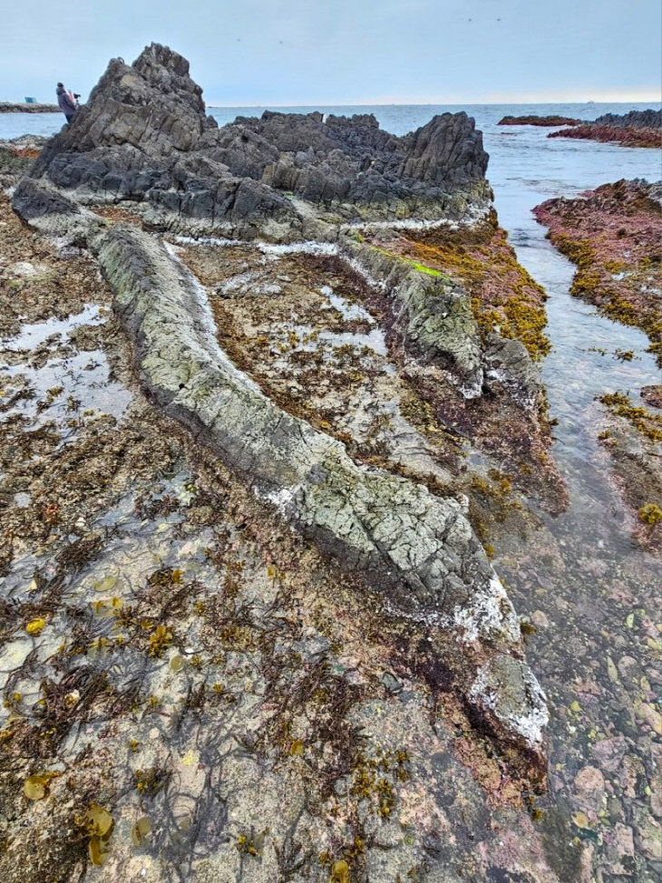 KakaoTalk_20260126_100848188