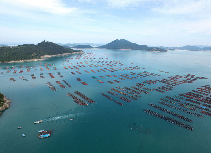 사진은 완도 전복 양식장 전경