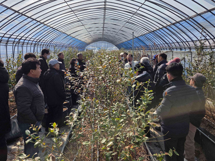 영광군, 블루베리 전지전정 현장교육 실시)2 (1)