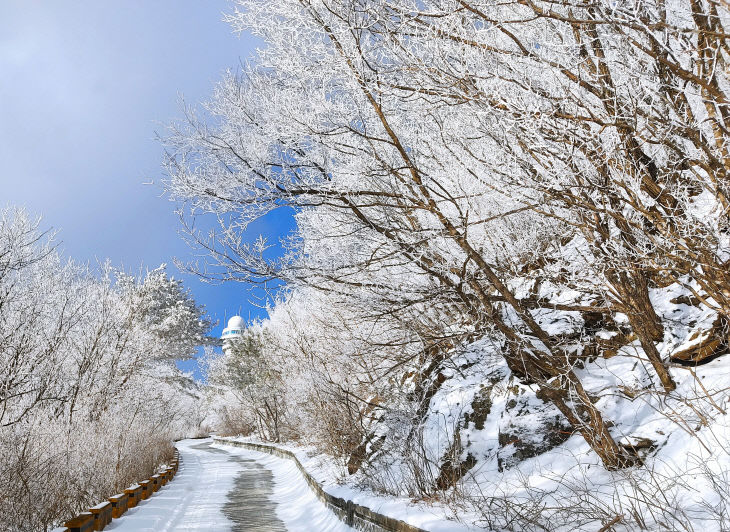 보도 1) 소백산 겨울