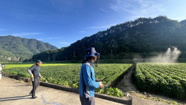 보도 3) 드론을 활용해 방제하는 모습