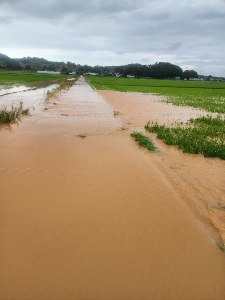 25.7. 누동지구 피해 (1)