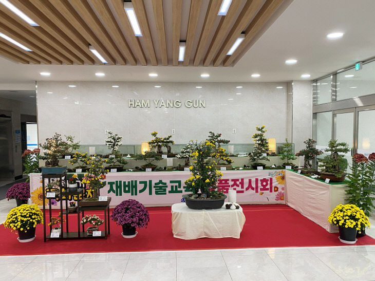 국화분재 재배기술교육 (2)