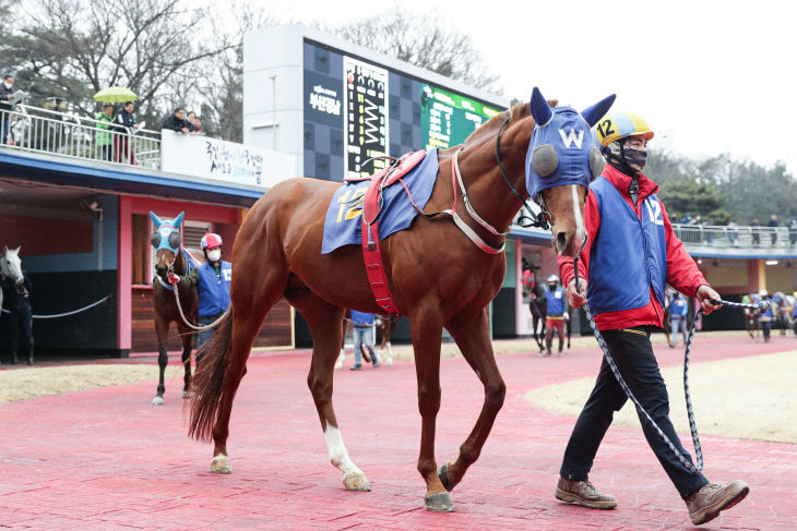 한국마사회, 빅스고 경주마