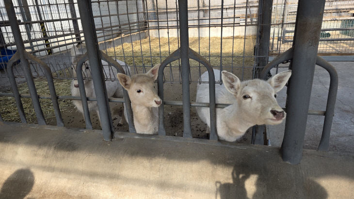 KakaoTalk_20260129_160055735