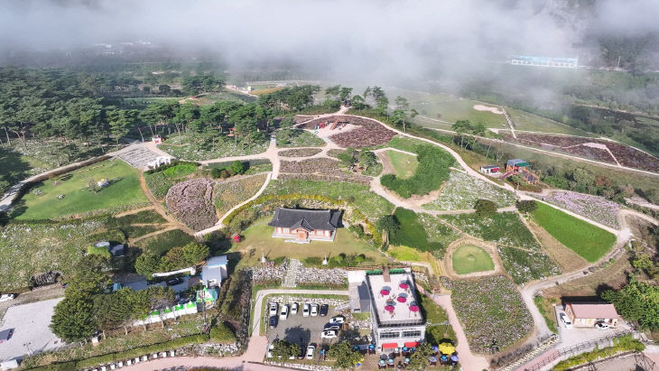 전년 대비 32만 명 ‘껑충’(구절초지방정원) (3)