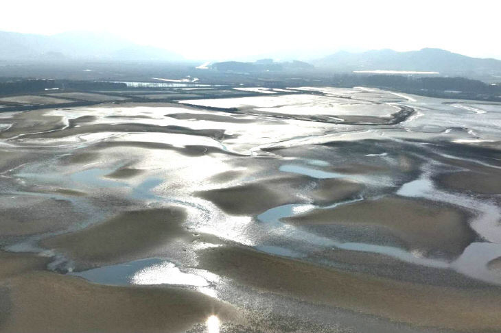 7423692327096101911_7882759782