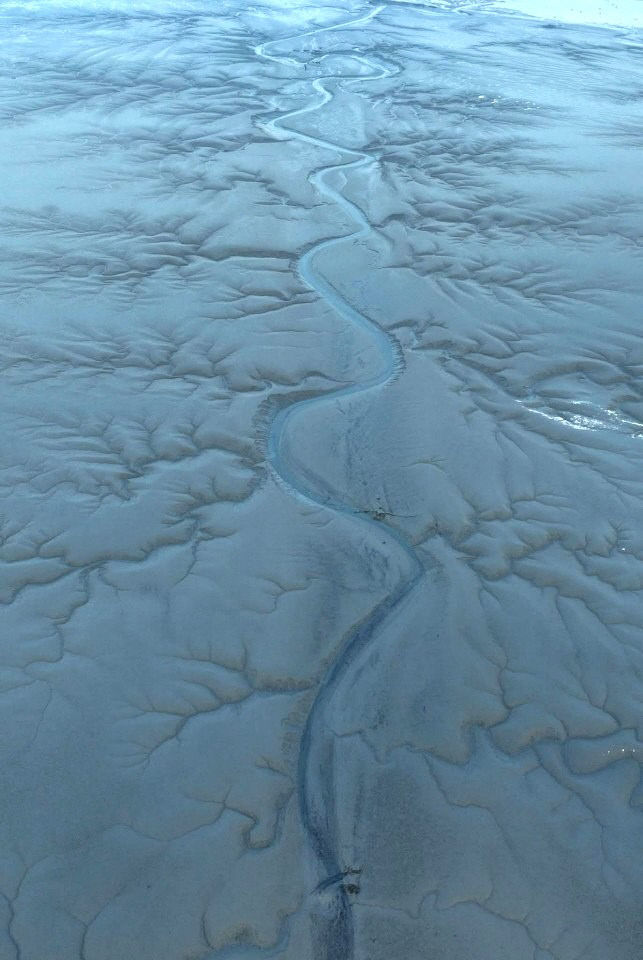 7423692186239606266_7879481240