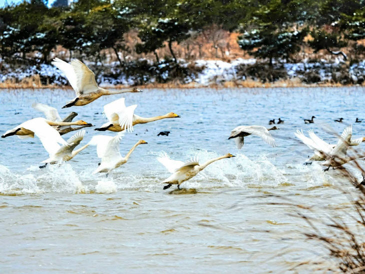 423661444594307683_7338717701