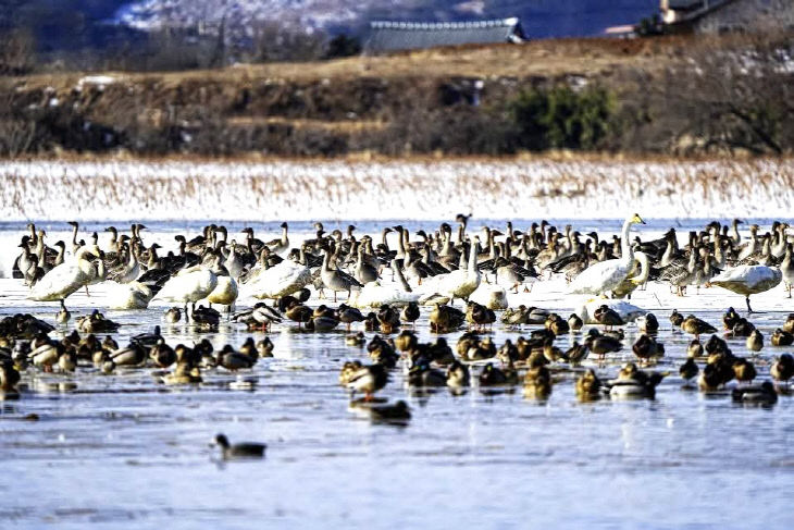 7423661729072807768_73456007379529